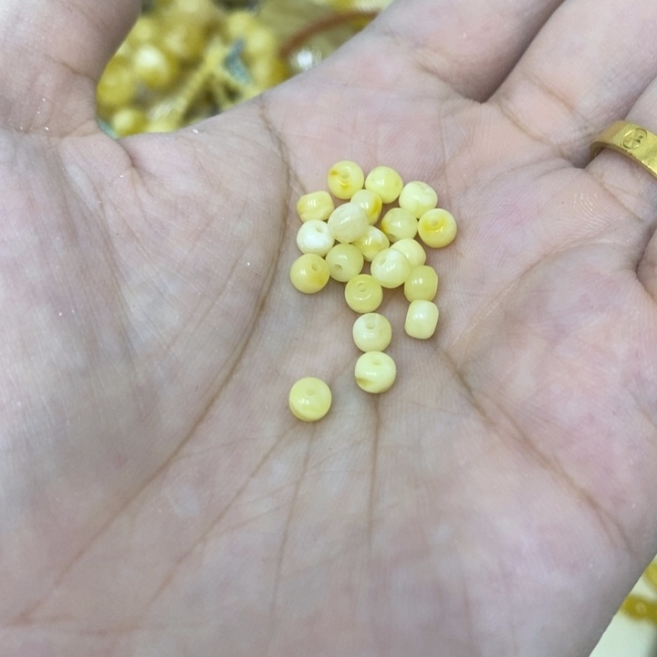 蜜蜡未镶嵌裸石多样性发货25