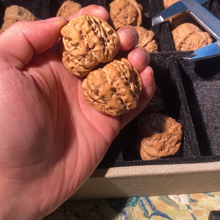 走***月文玩核桃把件蛤蟆头