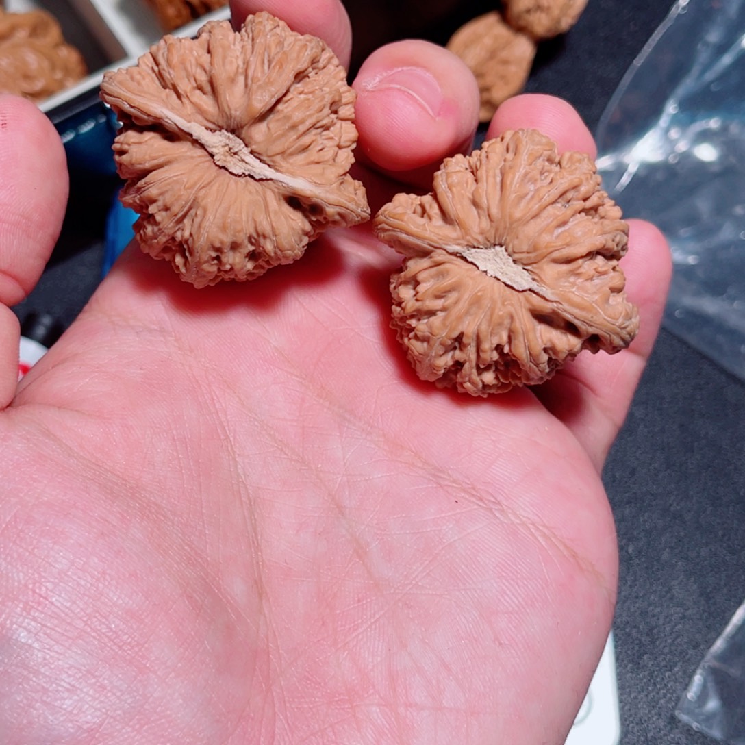 41全品石膏底密纹