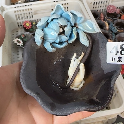 瓷片柴烧柴烧柴烧488