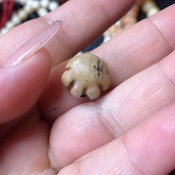 手串/手链鹿骨其他配饰