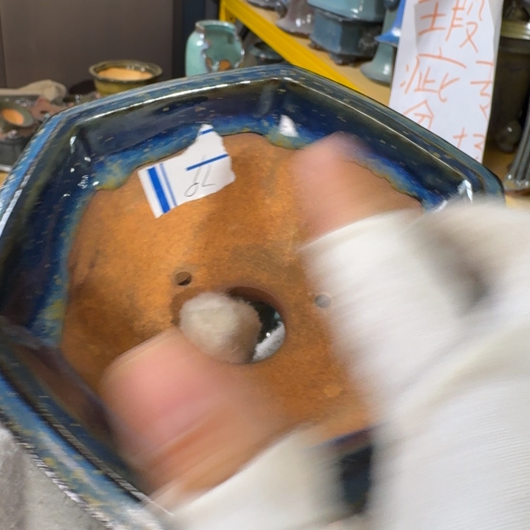 清***修觉象花盆觉象花盆