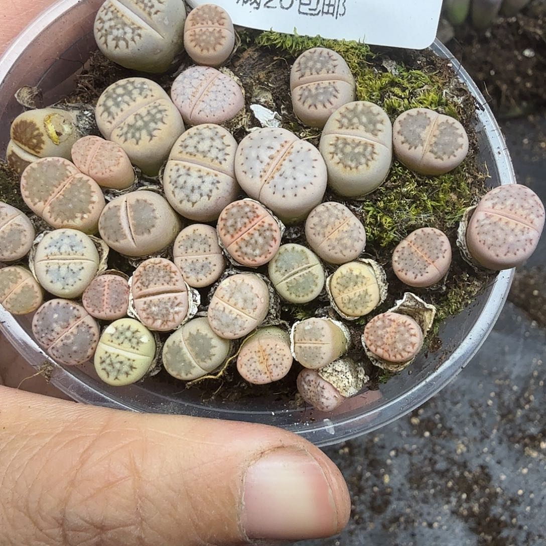 是一个不想被束缚467