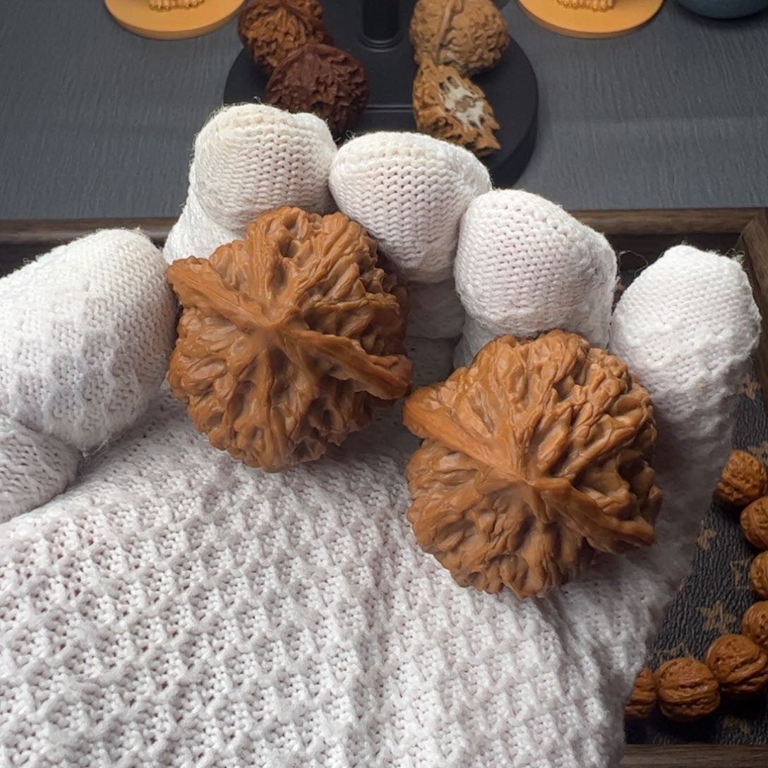 核桃摆件38野牛全品