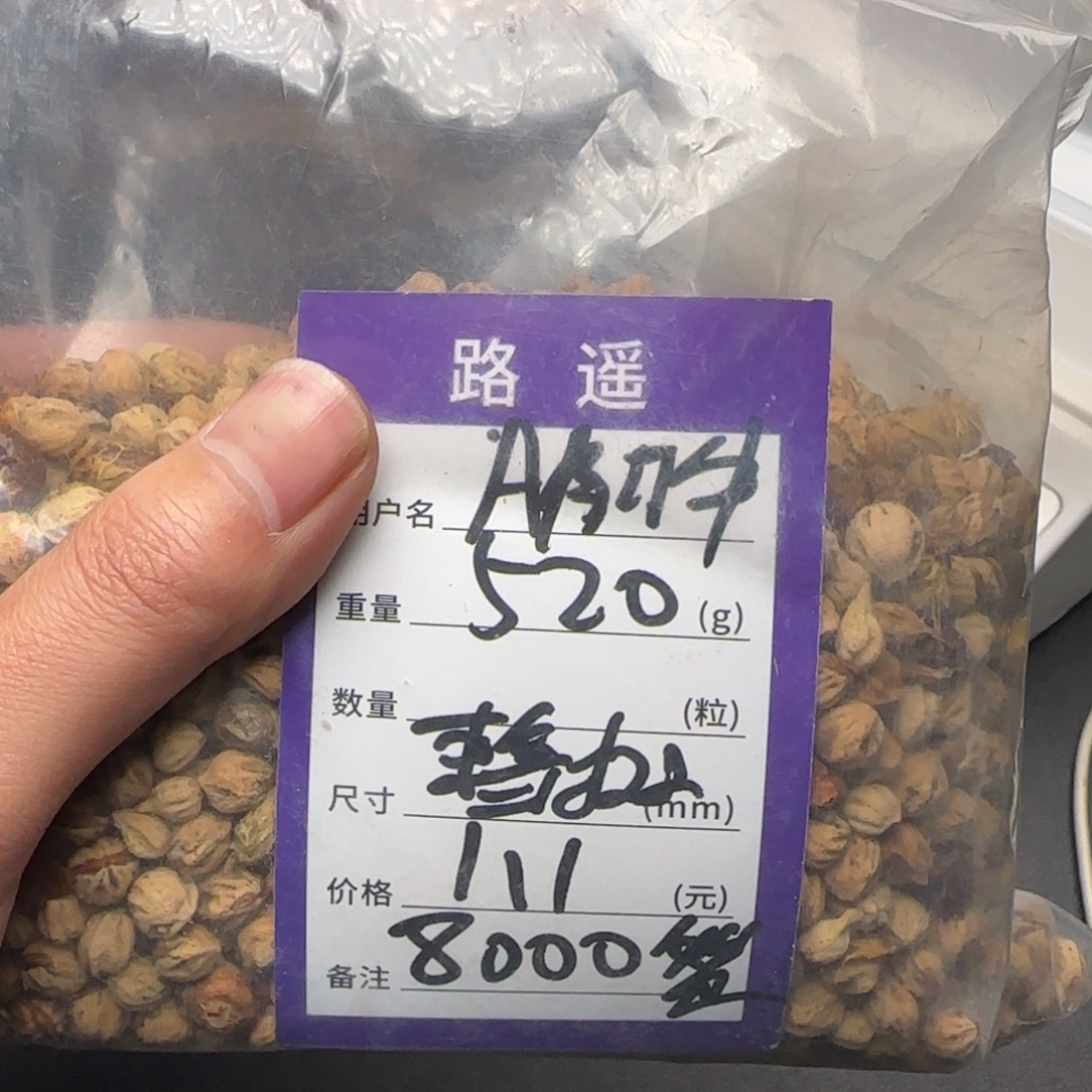 A***牛柏香籽/百香籽吊坠