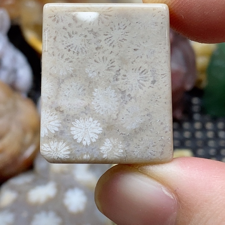 硅化珊瑚（珊瑚玉）颈饰未镶嵌小吊坠