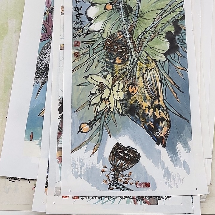 国画等****时花鸟的翅膀和翅膀是