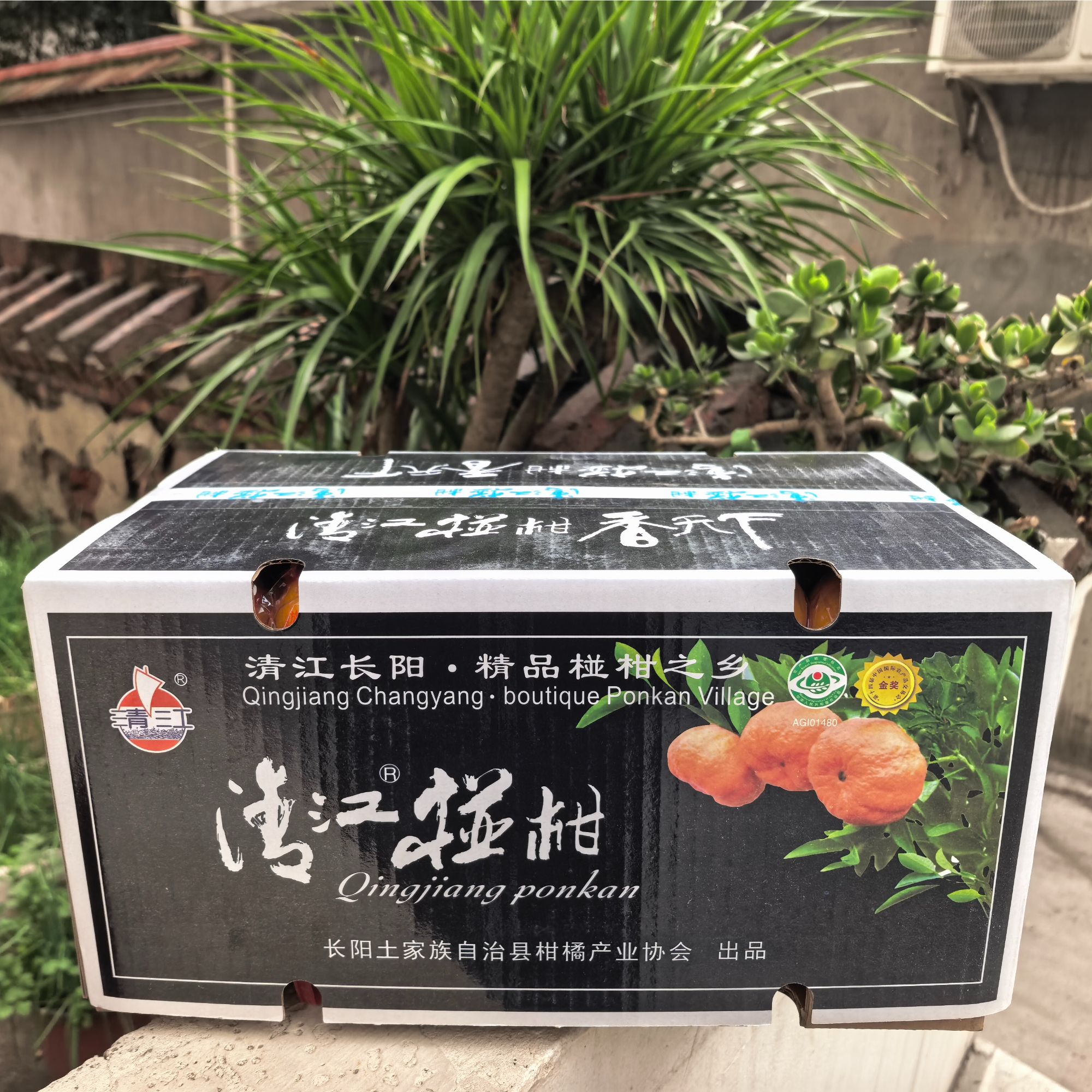 正宗产地岩松坪新鲜的清江椪柑多汁不上火越放越甜当季水果