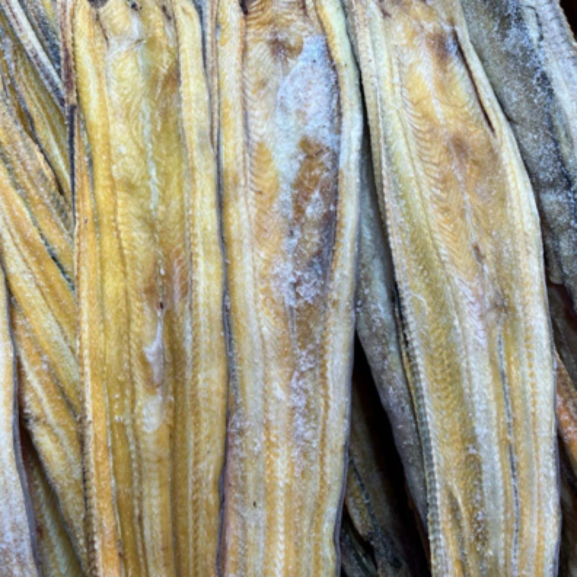 舟山野生油鳗鲞干整条油鳗鱼海鲜干东海300克炸鱼