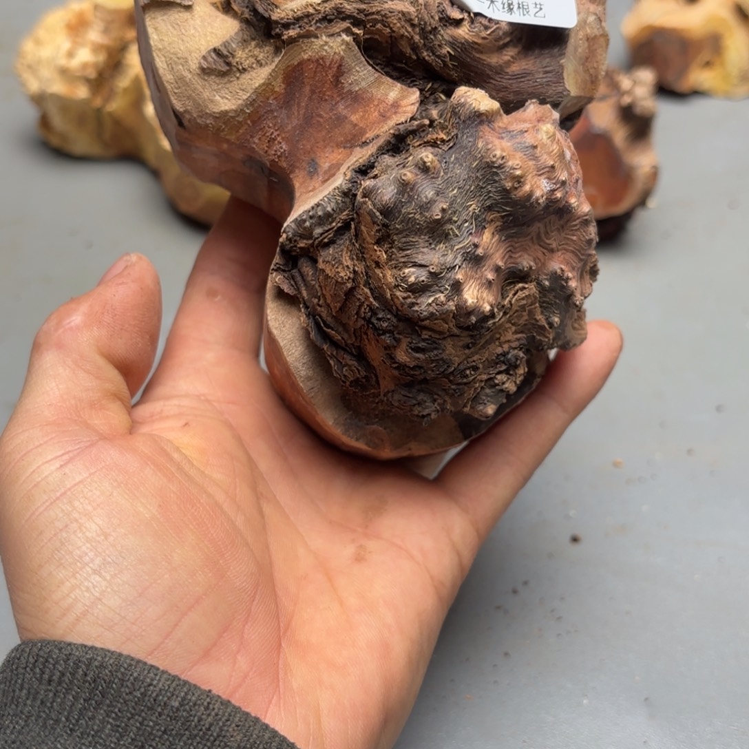 牵****无花朵        138