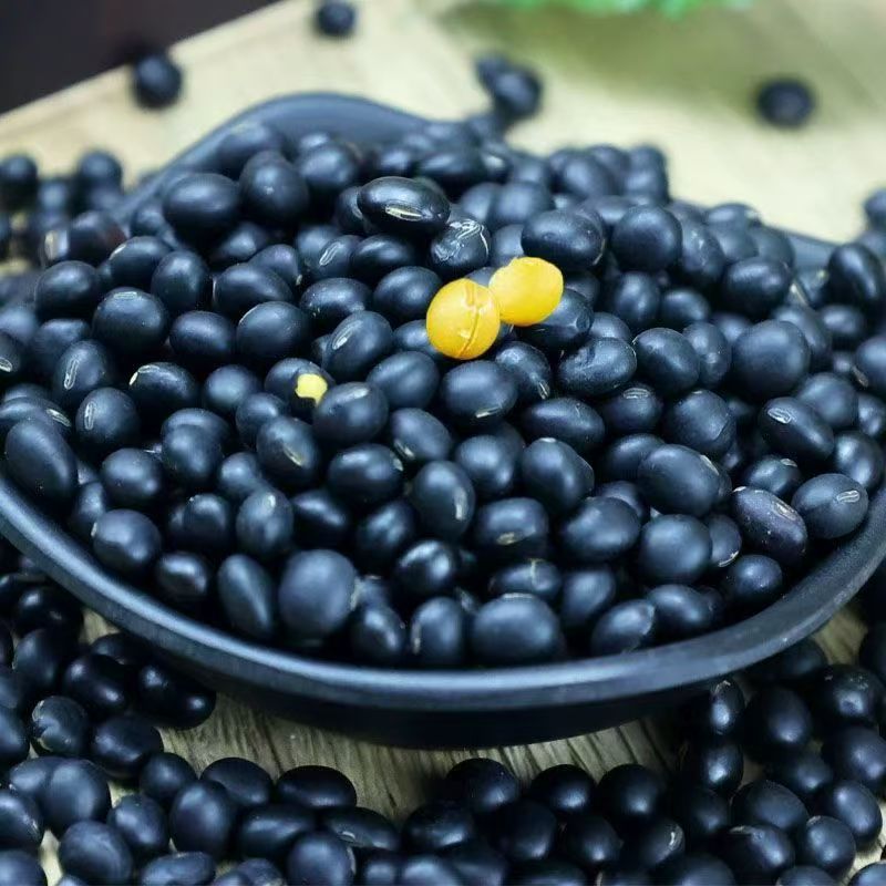 农家自产黑豆2024新货打豆浆专用五谷杂粮农家非转基因