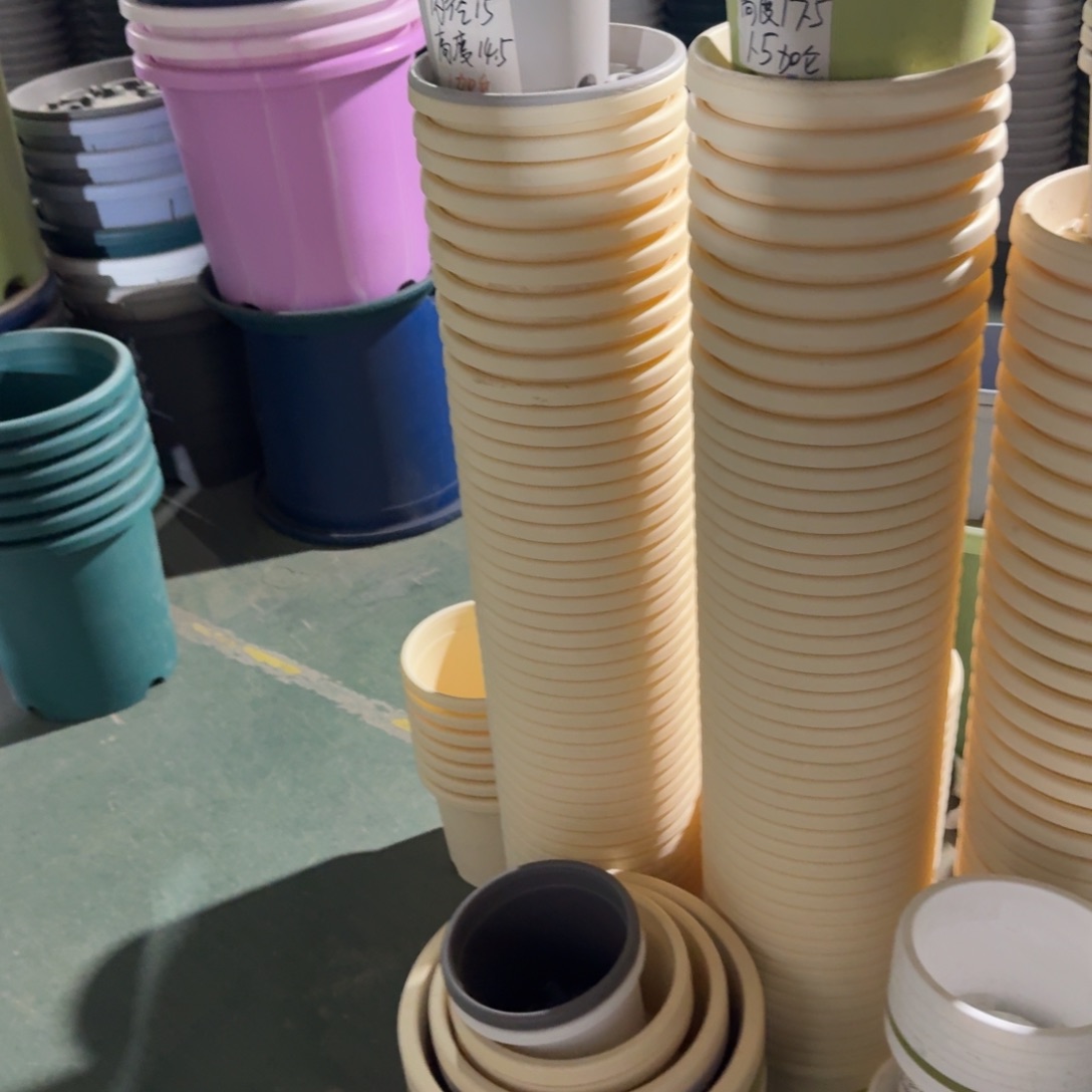 四季3号10个米黄色的