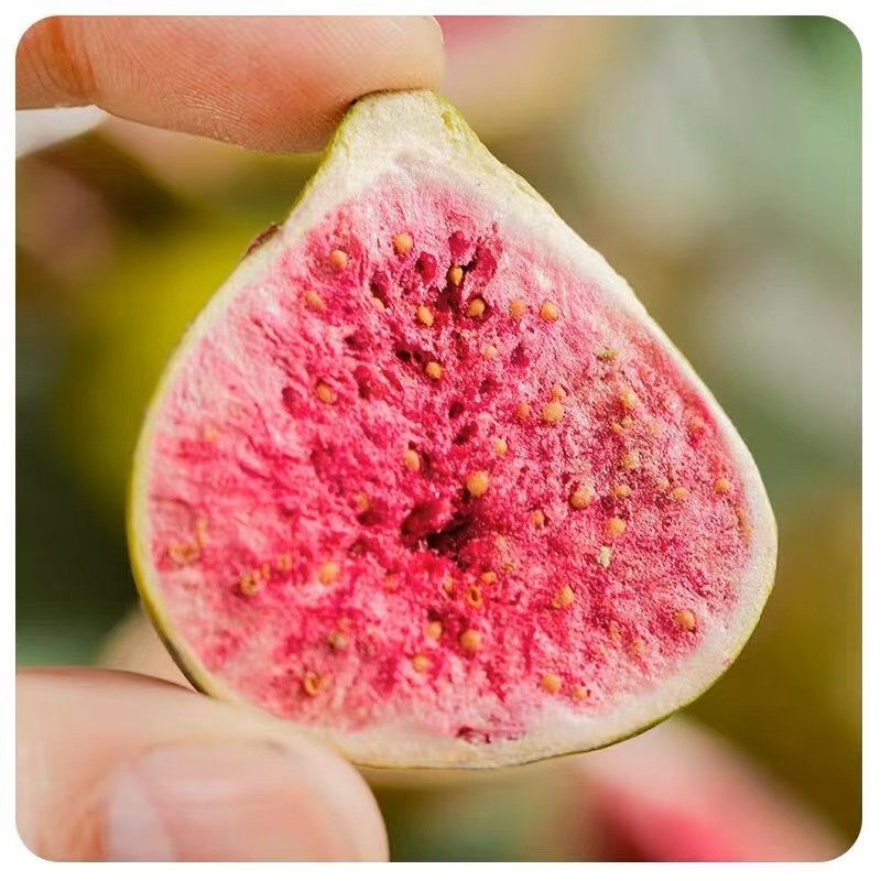 新鲜冻干无花果干脱水果干 泡水泡茶果茶