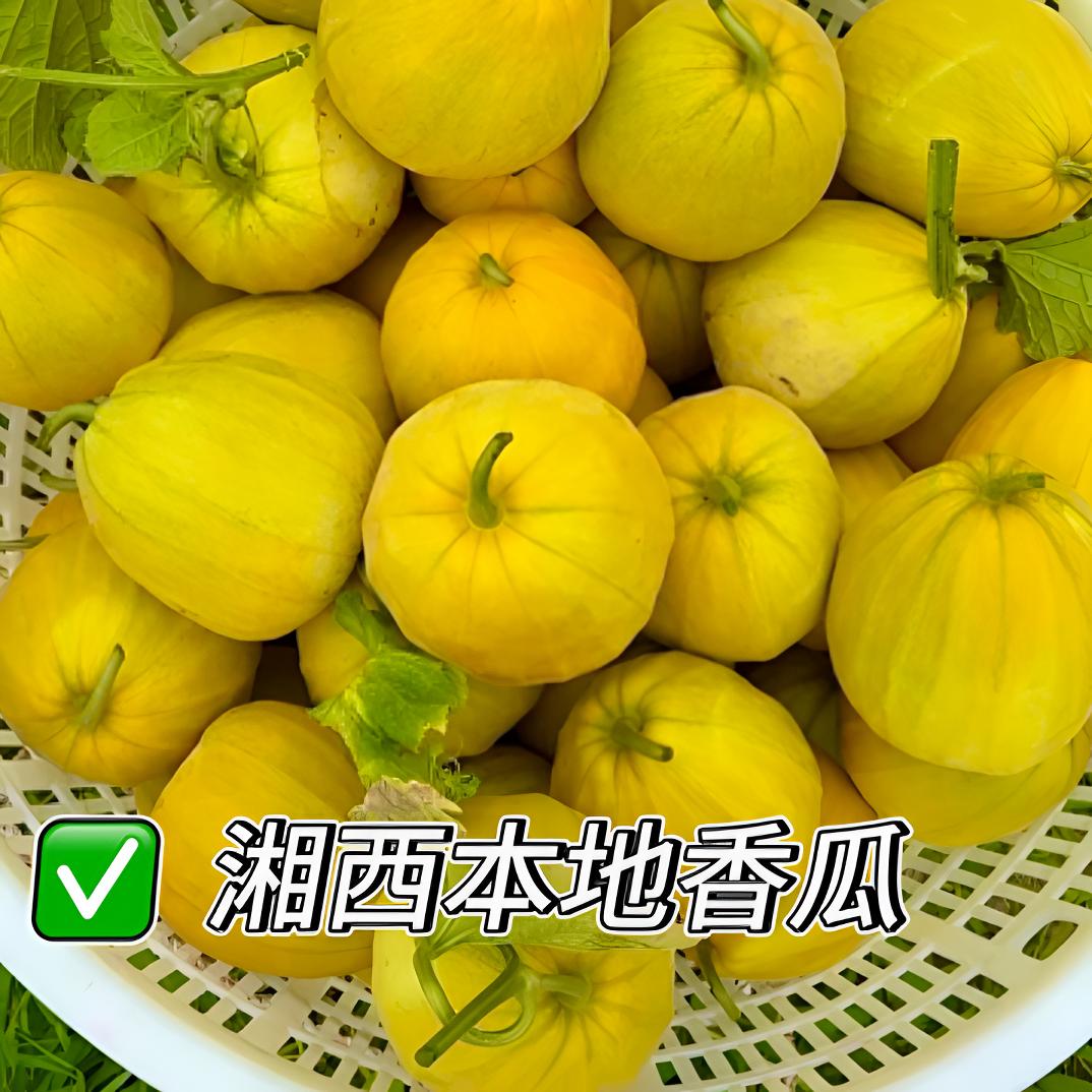 【顺丰包邮老品种丑八怪】八妹精选 小时候的味道！自然熟软糯香甜