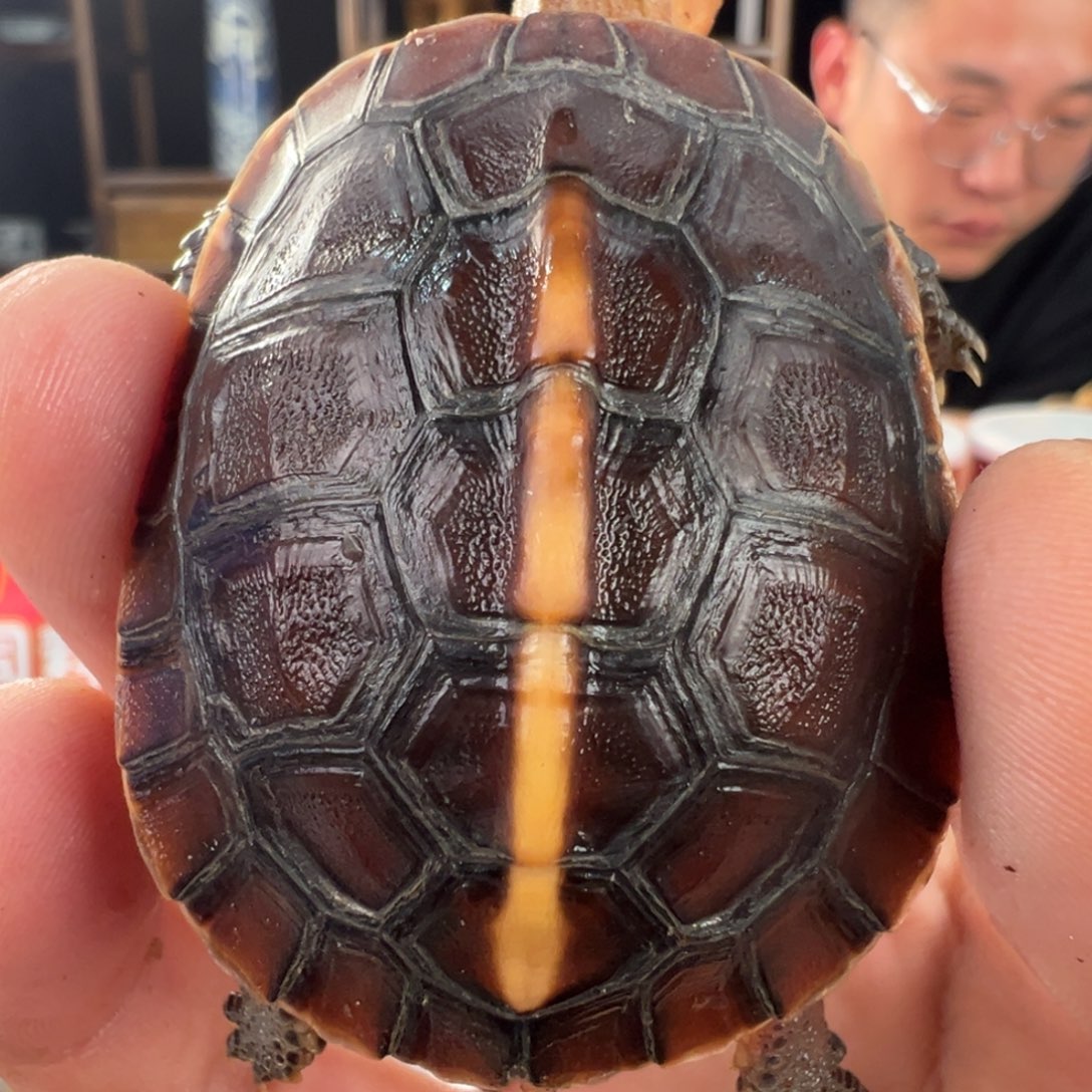 母才**人新年快乐啊我滴小