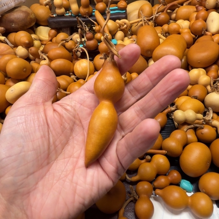 V****饰VC VC颜色的一把蚂蚁葫芦