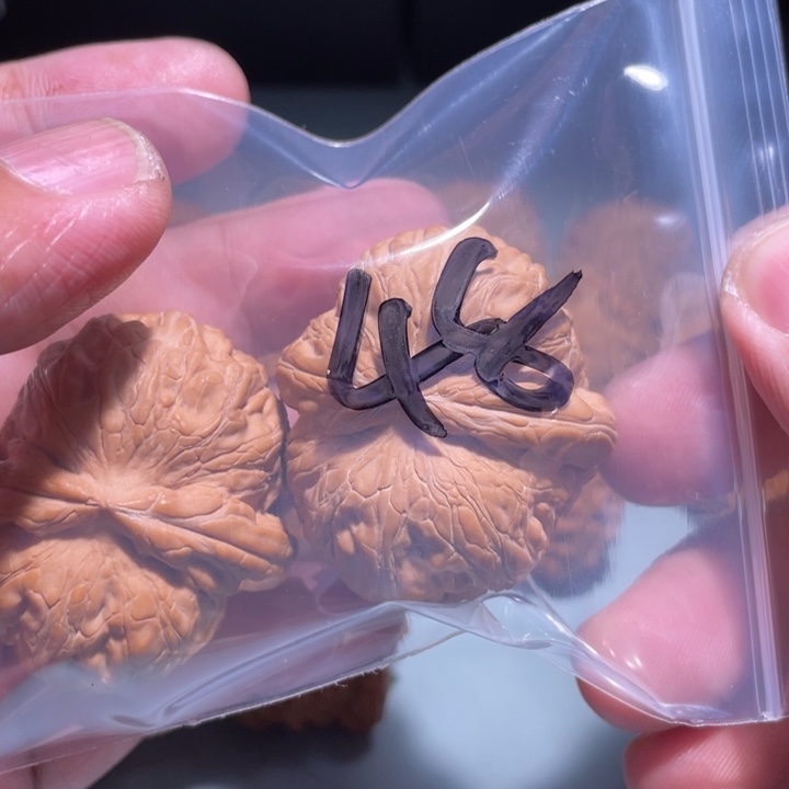 文玩核桃吊坠48呃呃呃