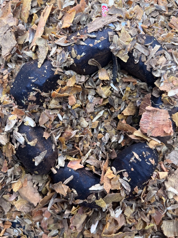 沉香C140 二哥精选文玩木作