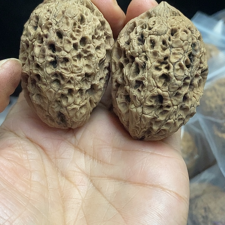 文玩核桃把件云南铁核桃基地95