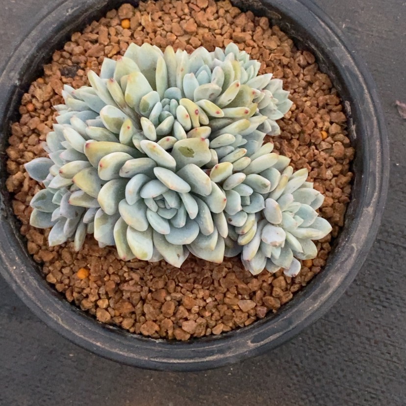 【闪购商品】知*、111111111