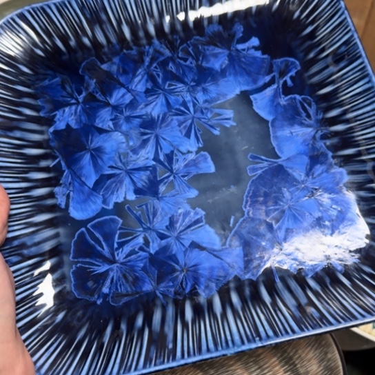 岸***鱼瓷片全场满二十米包邮
