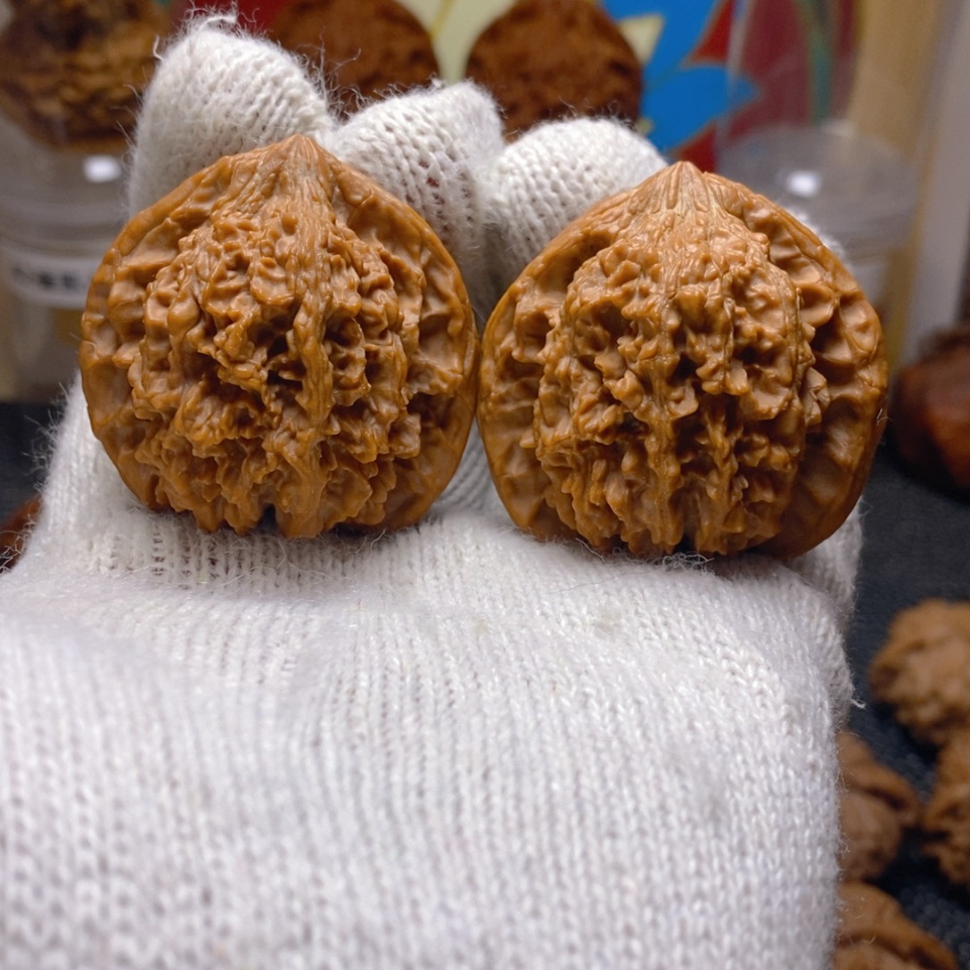 核桃满天星43尺无药原生态