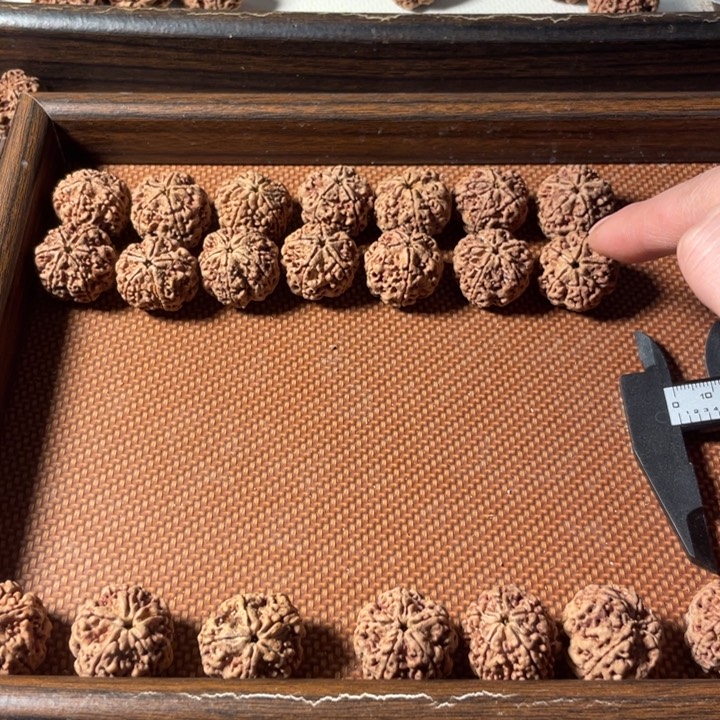 吊坠金刚菩提卡24