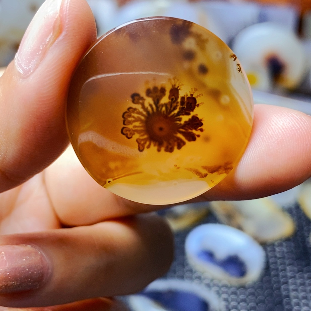 蚂***@玛瑙/玉髓未镶嵌珠宝半成品