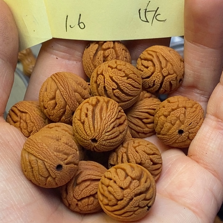 吊坠桃核秦岭龙纹桃核16尺寸