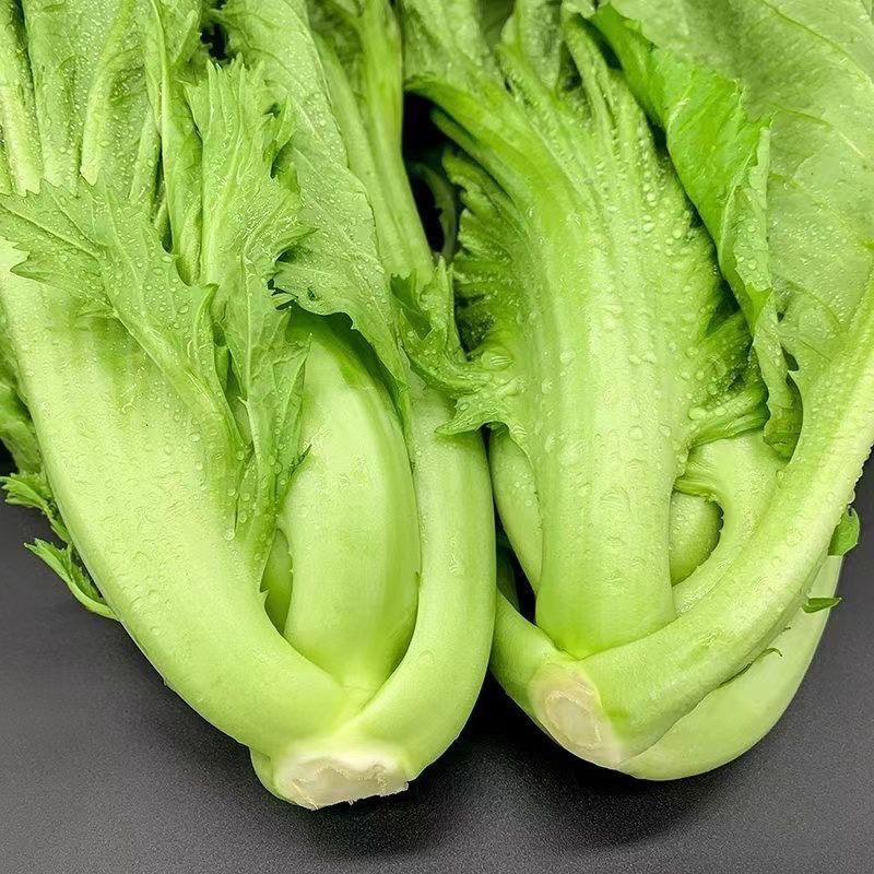 新鲜包心芥菜青菜贵州新鲜蔬菜苦菜大叶青菜可做酸菜腌菜泡菜