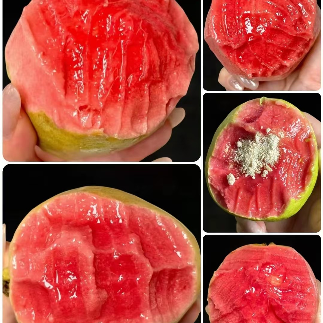 【望奎小时达】树熟奶油双拼芭乐