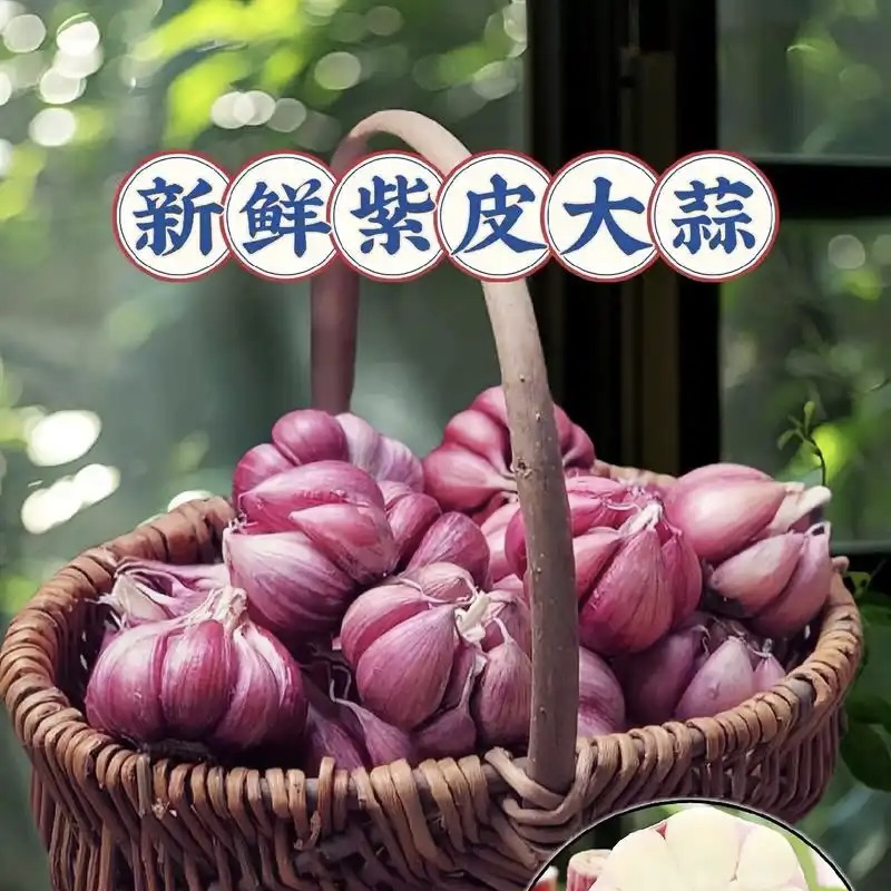 【云货心选】本地紫皮瓣蒜（干蒜）