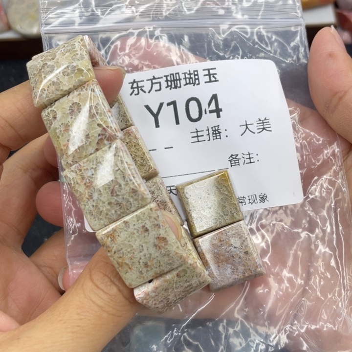 水***凉硅化珊瑚（珊瑚玉）合金颈饰