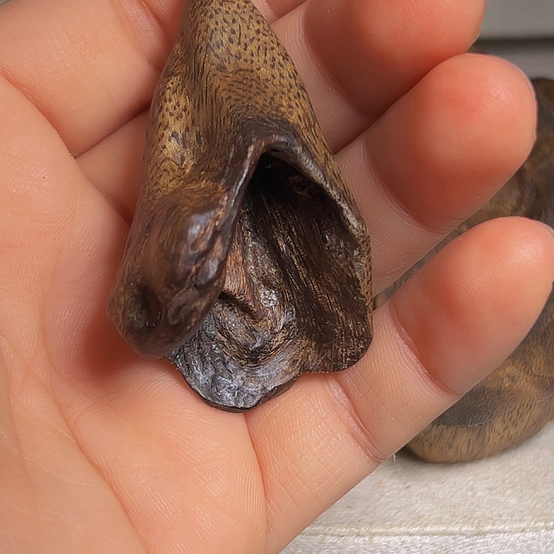 瑞***园沉香吊坠海南原母树树丁