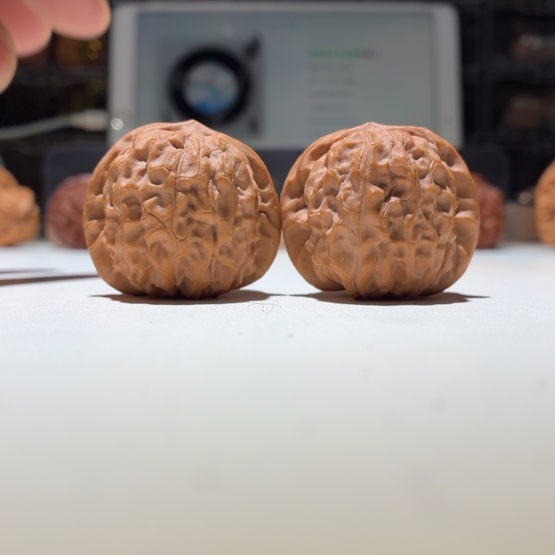 文玩核桃把件石门元宝37