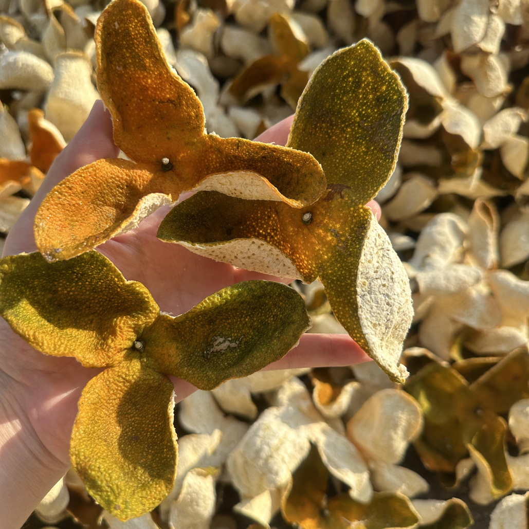 【新会】2025年南坦8年圈枝二红皮兰花香冰糖甜自然生晒干仓