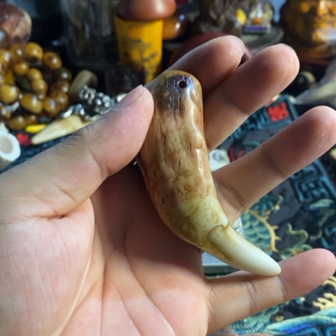 瓷片寻呼台的人也太少见啦