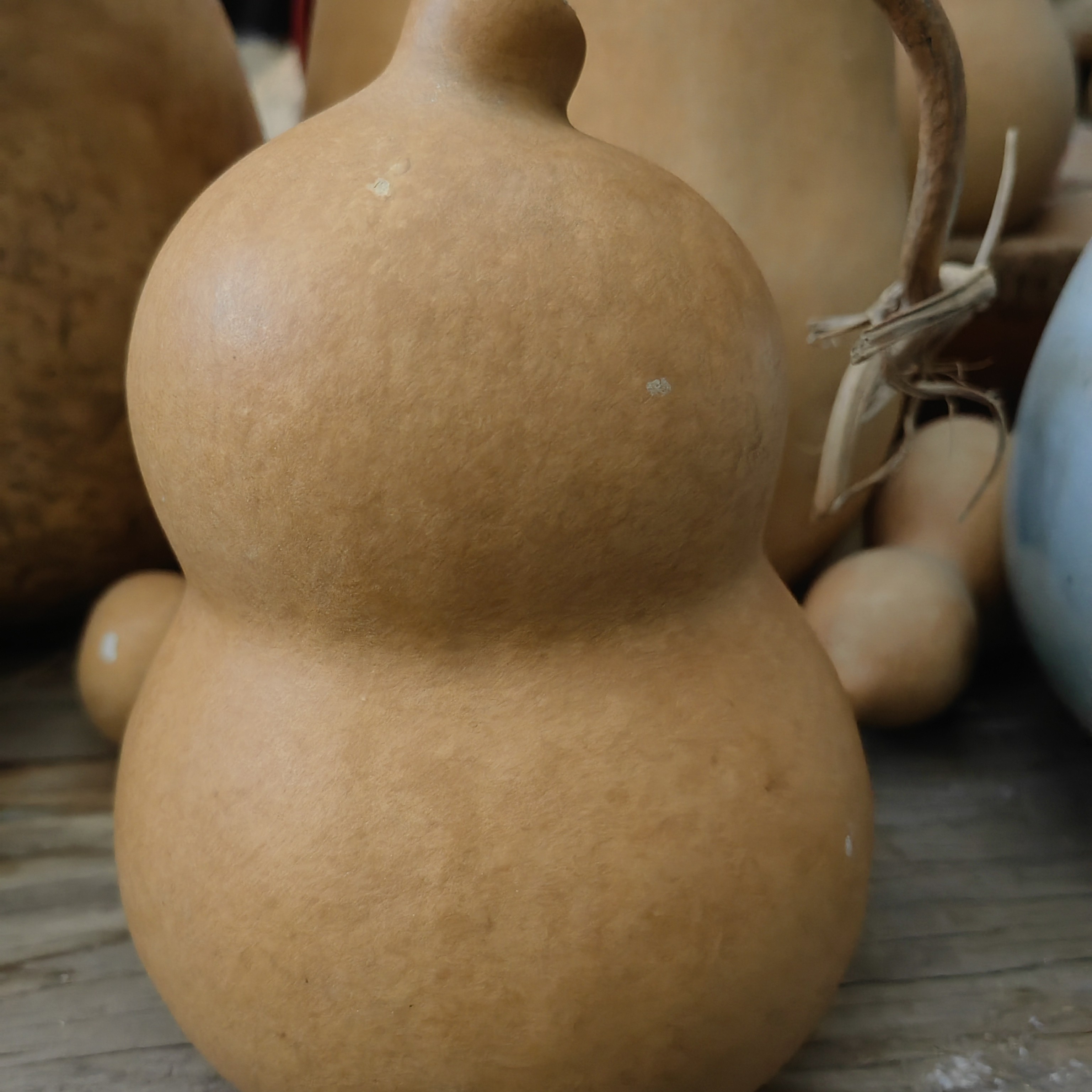 微瑕大中小天然葫芦，介意勿拍，适合作为家居摆件