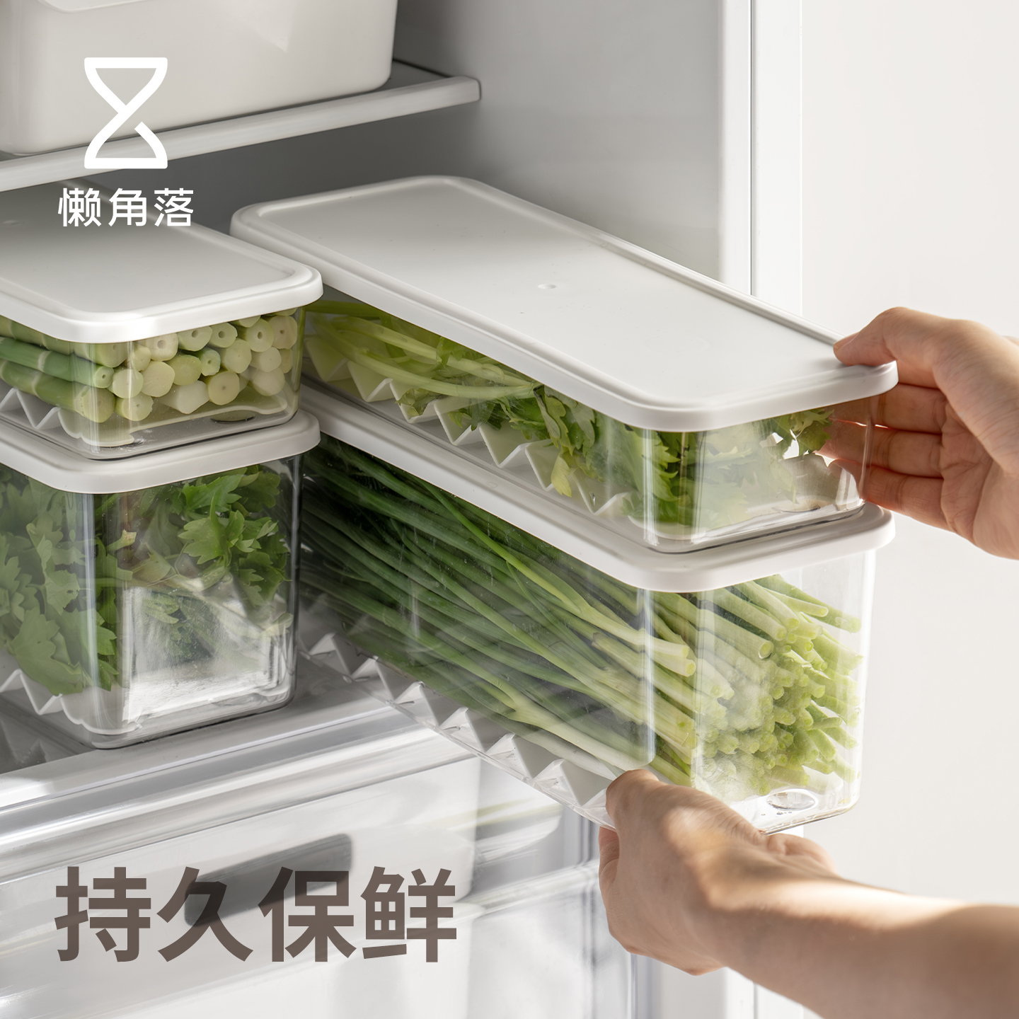 懒角落香菜保鲜盒食品级厨房葱姜蒜收纳盒冰箱专用沥水分装整理盒