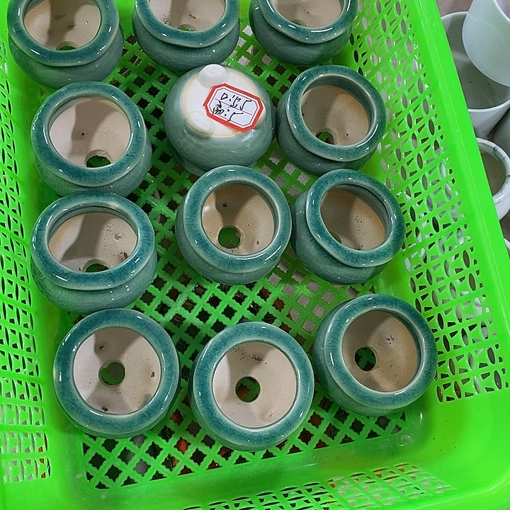 花盆抢购清货马上开始