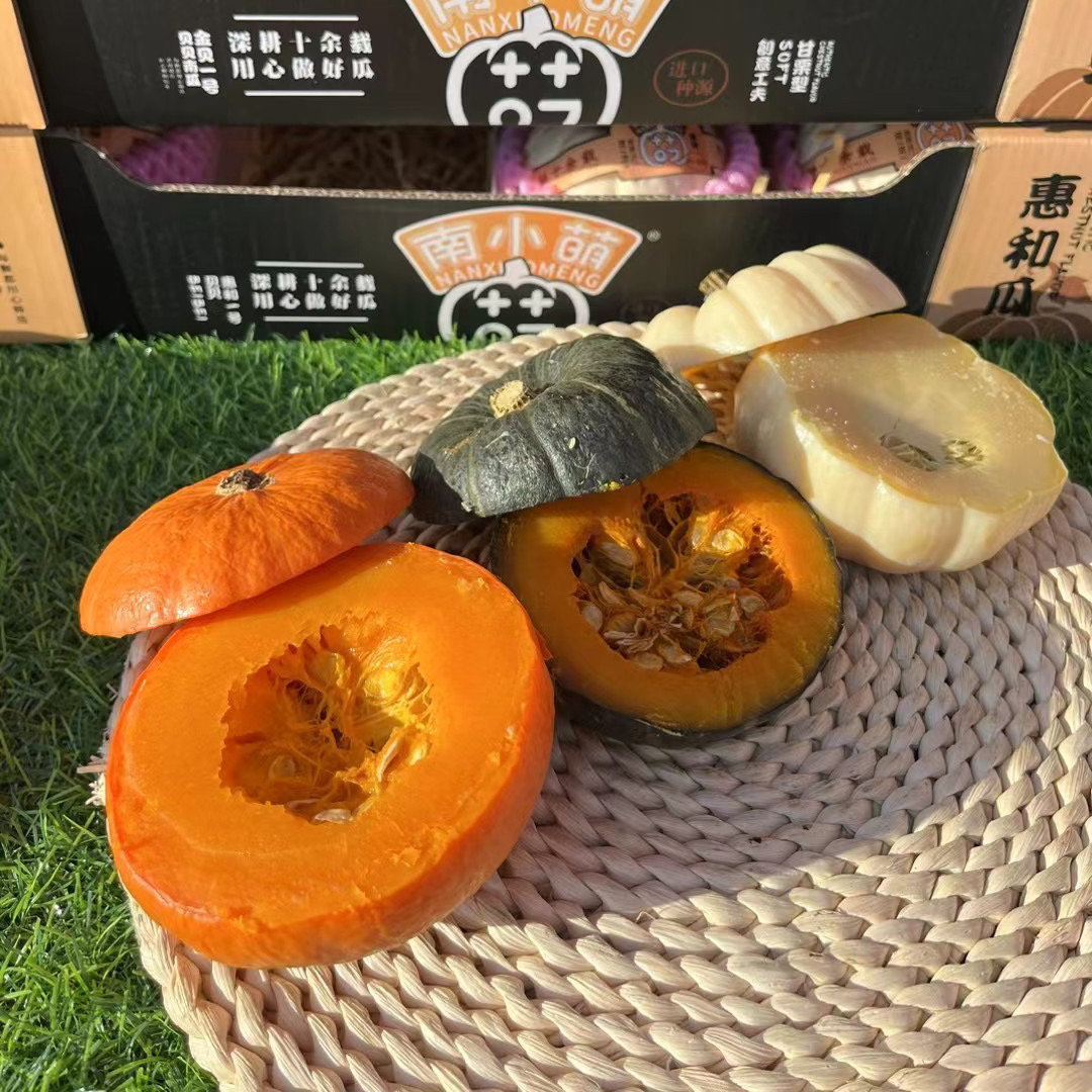 【京东快递送货上门】正宗三色贝贝南瓜组合粉奶油白雪贝贝红贝贝