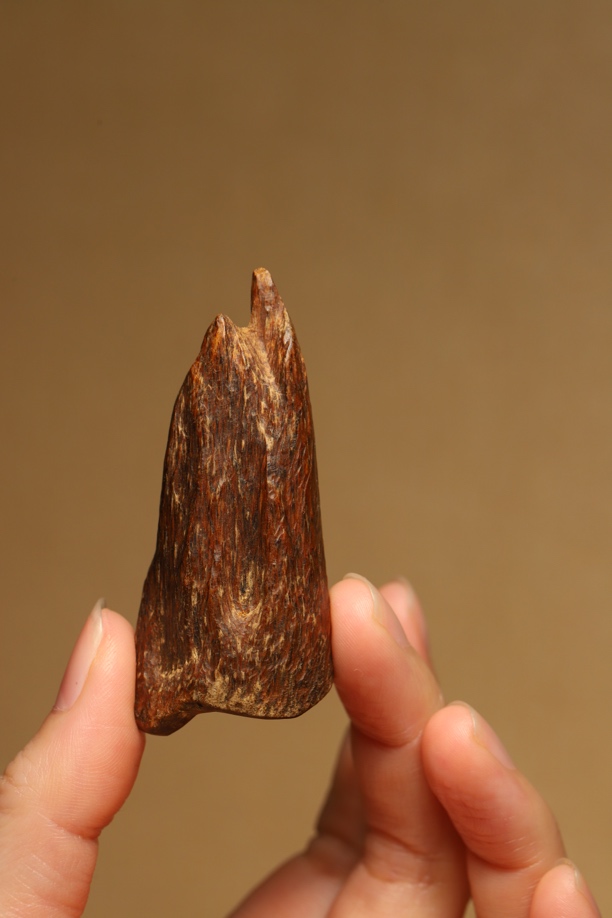 沉水级文莱软丝沉水老料瘤疤沉香13.6克