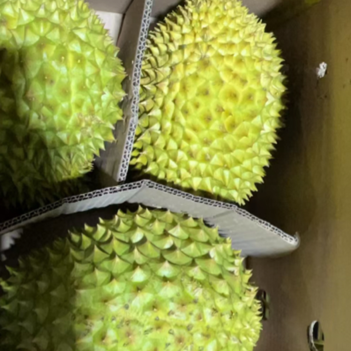 泰国金枕新鲜榴莲每斤