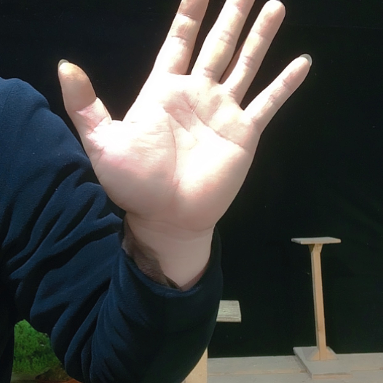 【闪购商品】无花朵小*