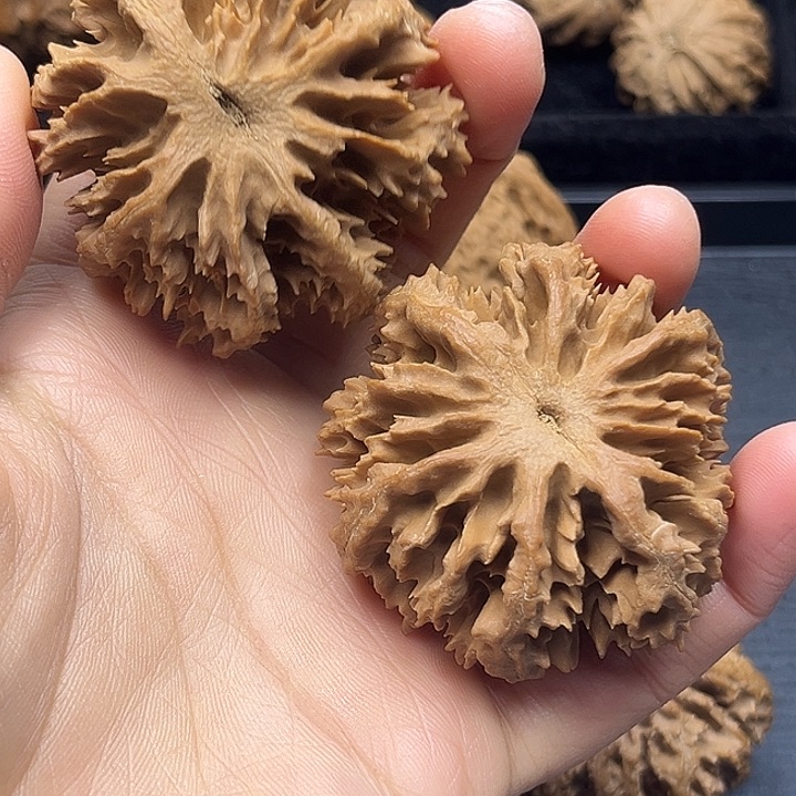 岁***w木质类秦岭突突突突突突突突