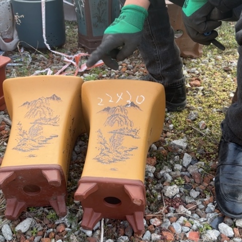 红陶紫砂花盆盆景盆栽