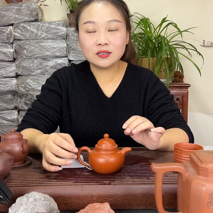 紫砂茶壶宜兴紫砂