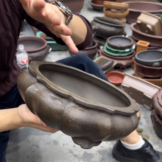 紫砂花盆里都藏的什么