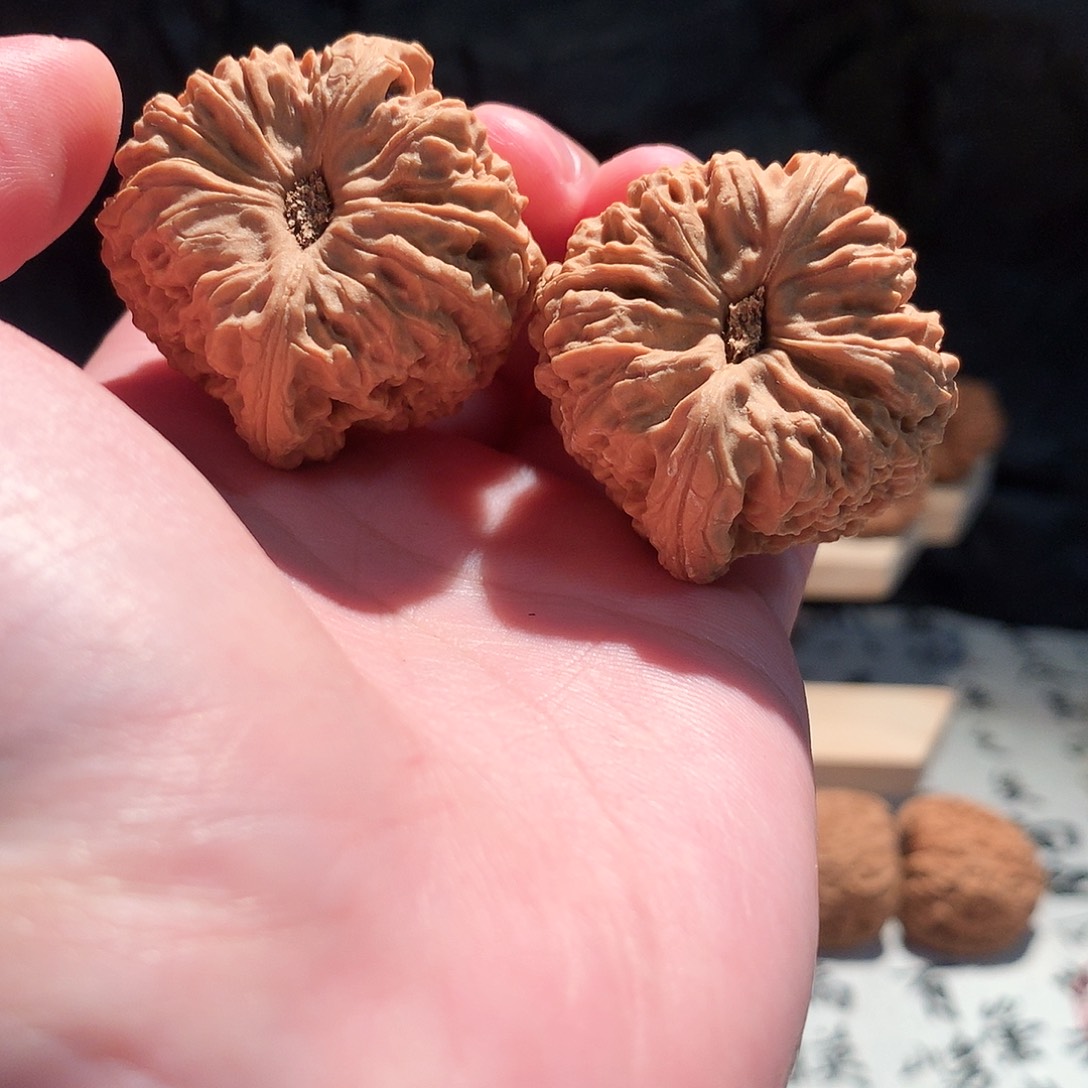 把件文玩核桃厚**物40南疆