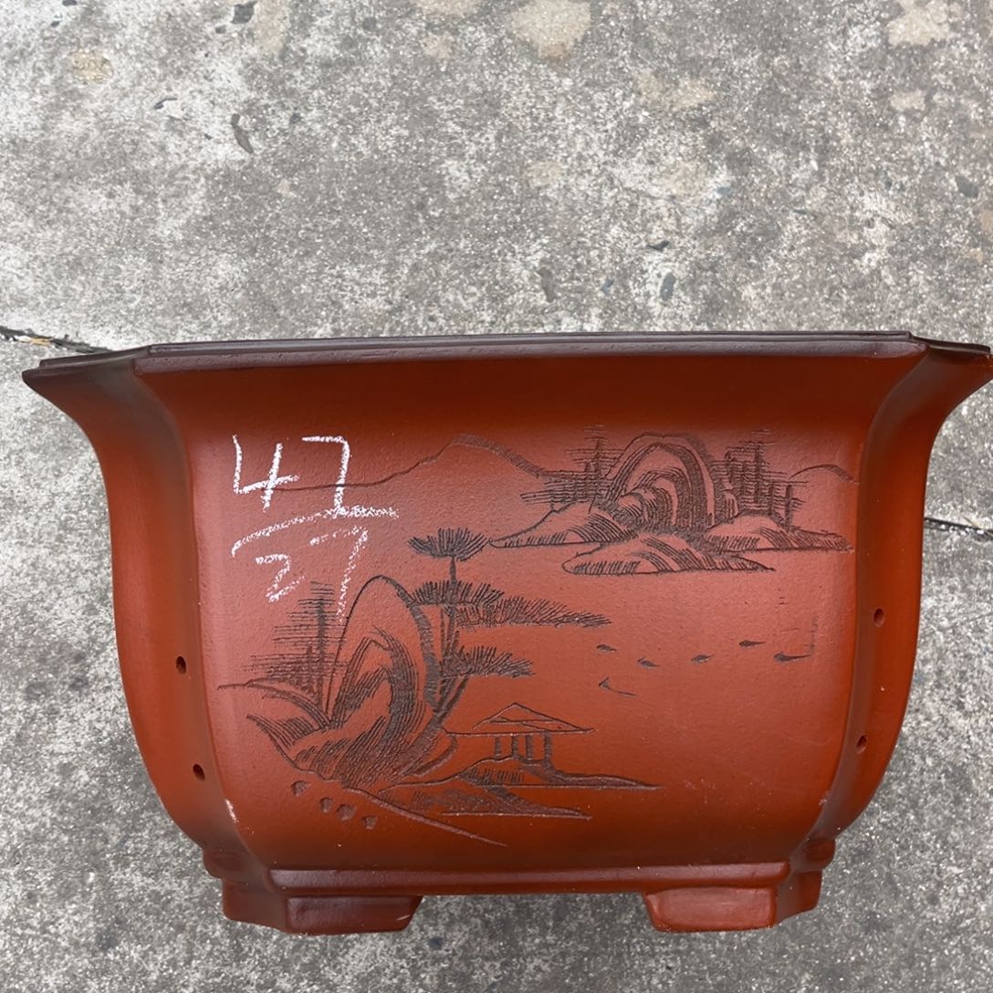 花盆紫砂盆景艺术